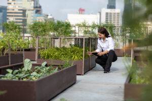 Porträt von Gärtnerin, die im Gemüsegarten auf dem Dach eines modernen Gebäudes arbeitet