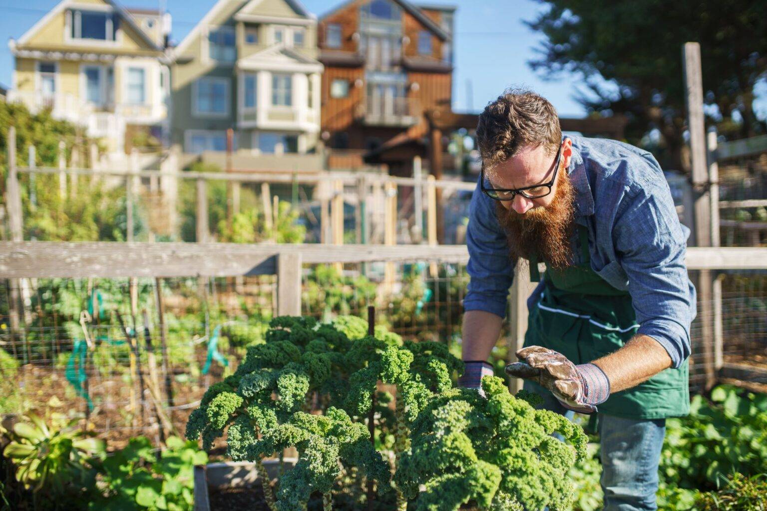 Gärtnern ohne Garten Wie kleine und große Stadtoasen entstehen und das
