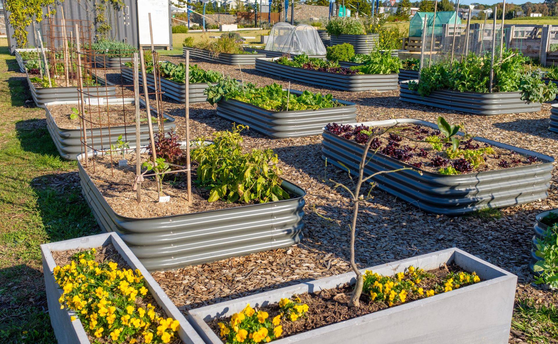 Gärtnern ohne Garten Wie kleine und große Stadtoasen entstehen und das