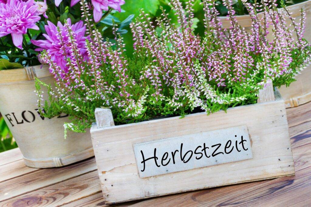  Blumenkasten mit "Herbstzeit"-Schild als Gartendekoration