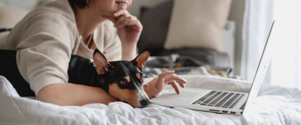 Eine Frau liegt auf einem Bett mit einem Laptop, während ein Hund auf ihrem Arm ruht. Die entspannte Haltung steht im Kontrast zur bekannten Problematik des blauen Lichts von Bildschirmen, das die Schlafqualität beeinträchtigen kann.